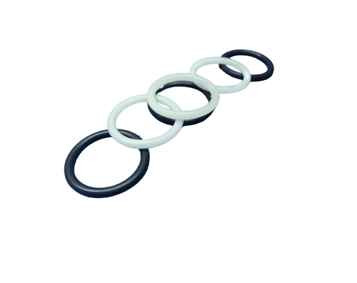 20Mpa Tensile Strength FFKM O Ring Aging Resistance Extreme Temperatures& Abrasion Resistance