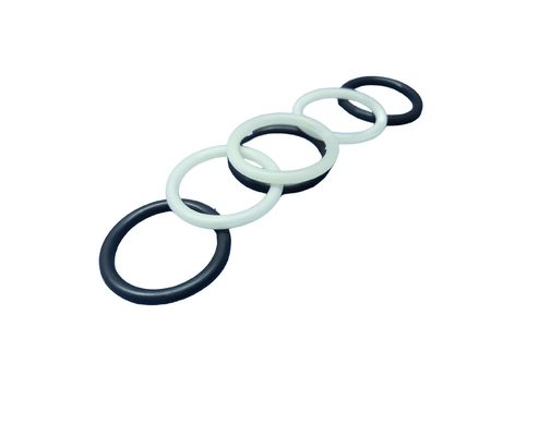 20Mpa Tensile Strength FFKM O Rings with Aging Resistance and Extreme Temperature Resistance for Harsh Environments